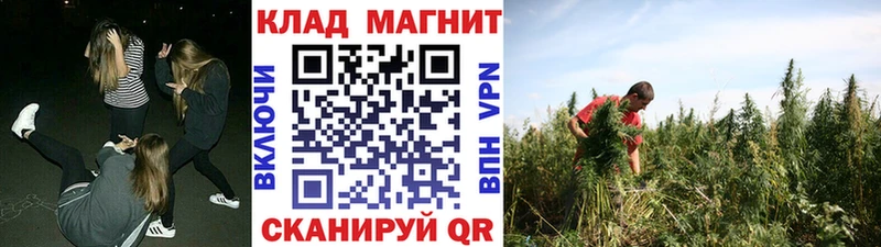 Магазины продажи наркотиков Динская Амфетамин СОЛЬ Канабис ГАШИШ Кокаин