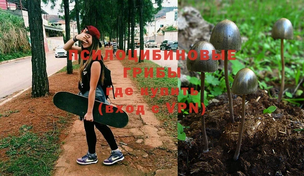 MDMA Premium VHQ Липки