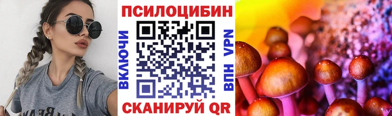 где продают наркотики  hydra ссылка  Псилоцибиновые грибы мицелий  Динская 